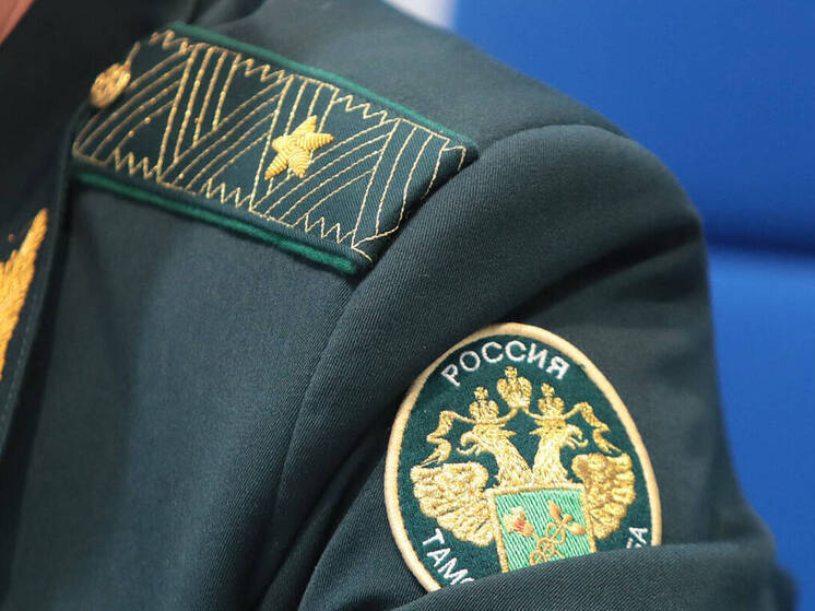 С начала года Татарстанская таможня возбудила 19 уголовных дел