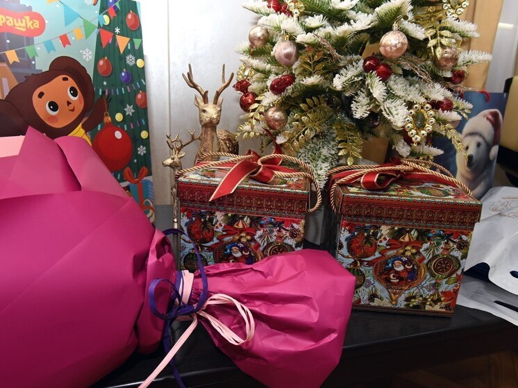 Мэр Барнаула исполнил желание семилетнего горожанина