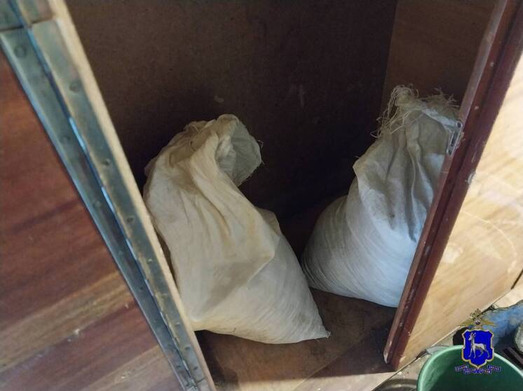 В Самарской области задержали поджигателя с 8 килограммами высушенной конопли