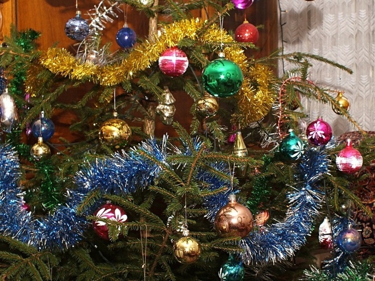 Эксперт Бурнацкая: хвоя от живой ели в доме может вызывать зуд и чихание