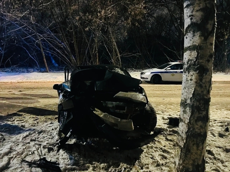 Пьяный водитель в Вологде врезался в дерево