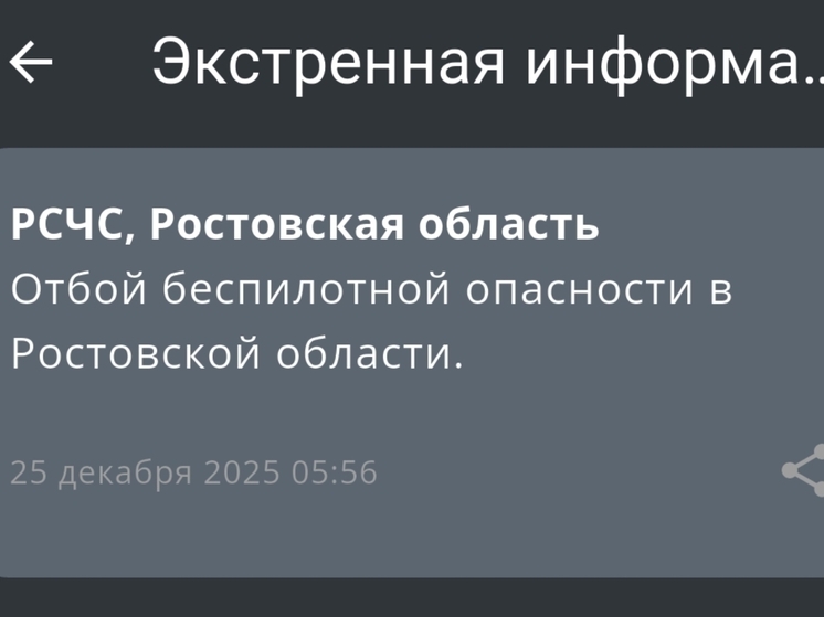 В Ростовской области утром 25 декабря дали отбой беспилотной опасности