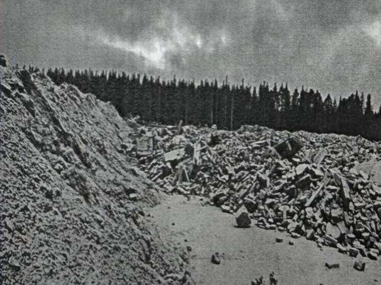 С виновных в свалке мусора под Мирным взыскали более 221 млн рублей