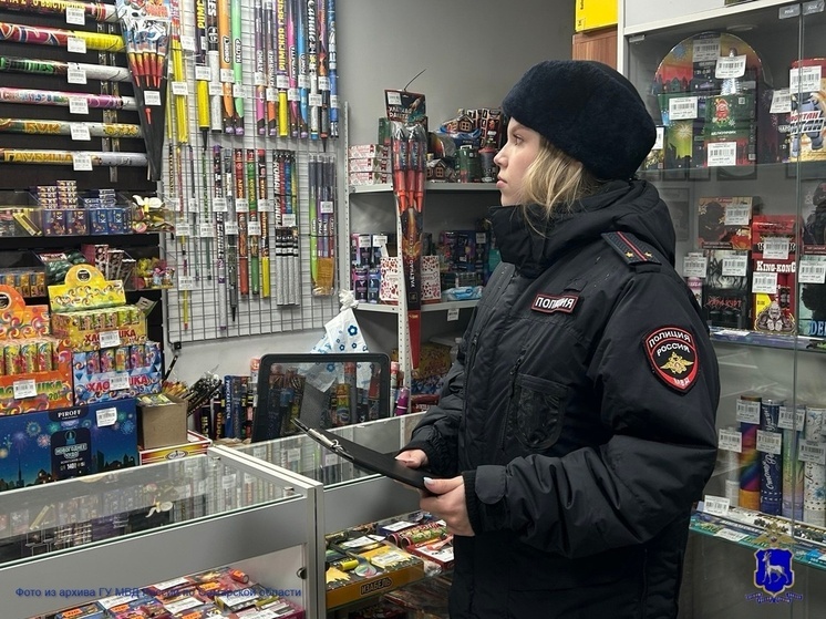 Полиция забрала 64 упаковки фейерверков у пенсионерки из Самарской области