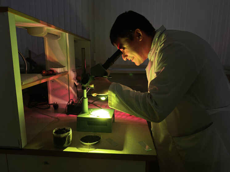 В Югре создают биотопливо из торфа: ученый разработал экспериментальную установку