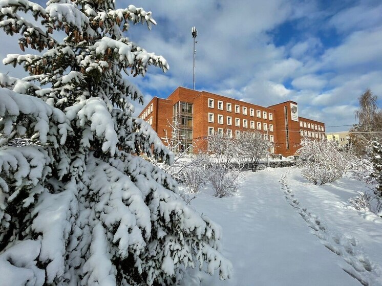 ЧелГУ: Где молодёжная политика становится личным успехом