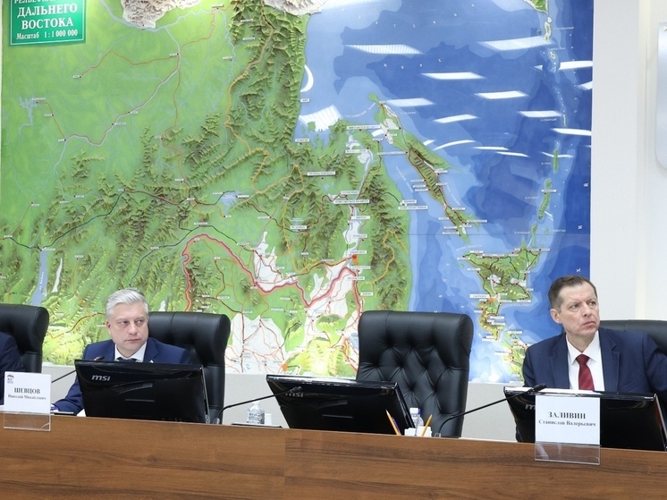 Планы на 2026-й: в Хабаровском крае повысят выплаты детям-сиротам и поддержат инвесторов