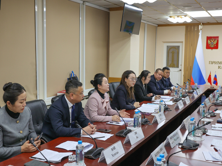 Владивосток впервые посетила официальная делегация из китайского города Цзямусы, расположенного в провинции Хэйлунцзян