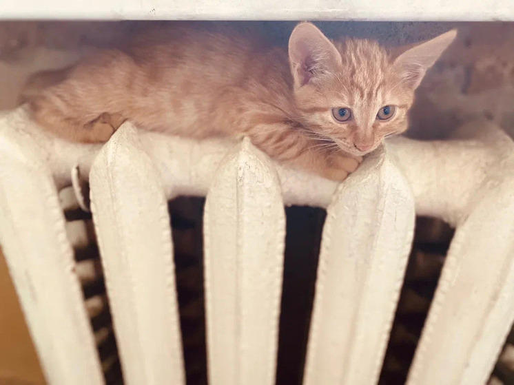 На улице Большой временно отключили отопление