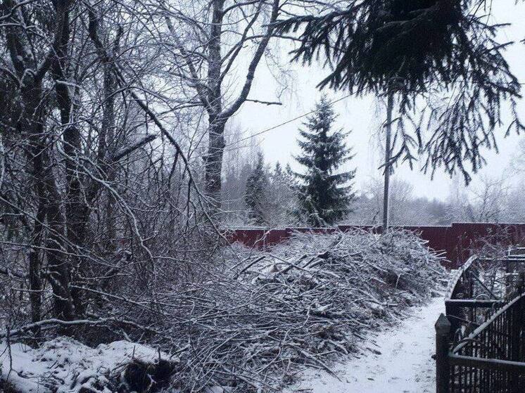 В Гатчине ликвидировали незаконную свалку