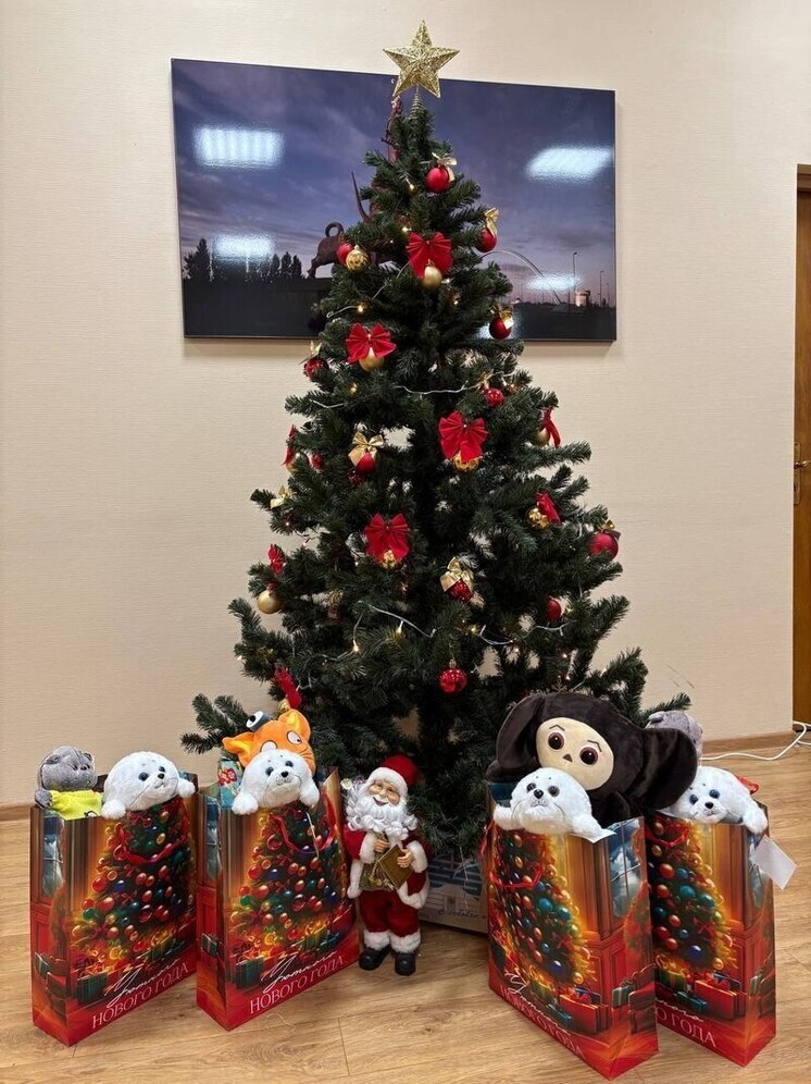 Представители Бурятии в Москве поддержали маленьких земляков в больницах накануне Нового года