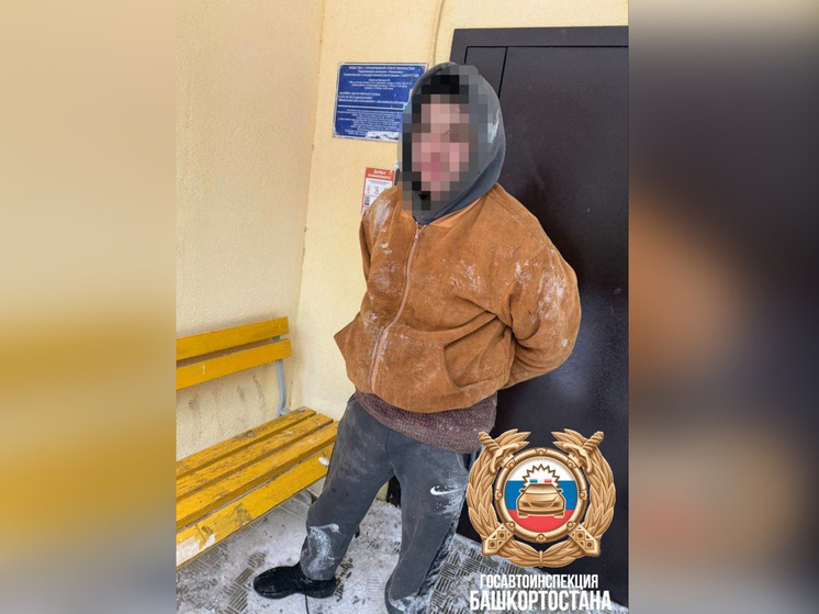 Уфимские автоинспекторы задержали подозреваемого в краже