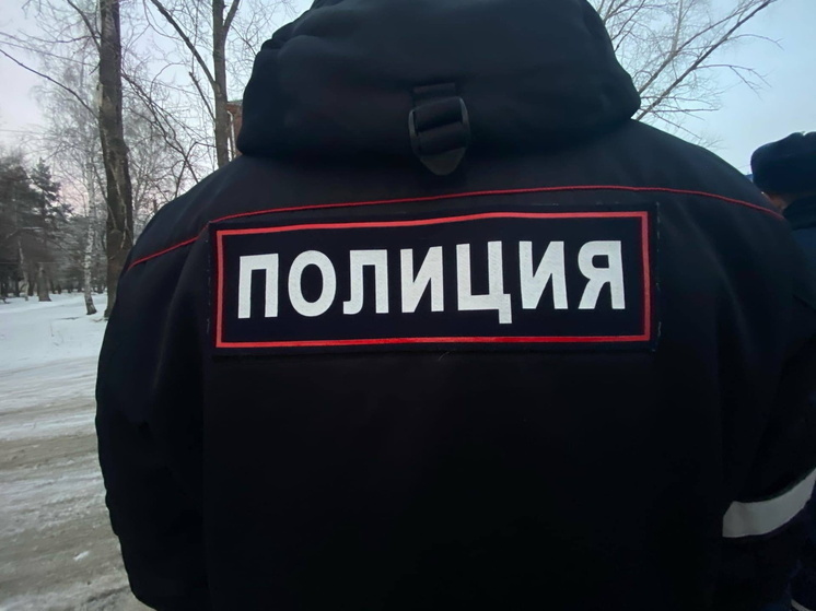 Иностранцы с судимостями задержаны в Омске за кражу из частного дома