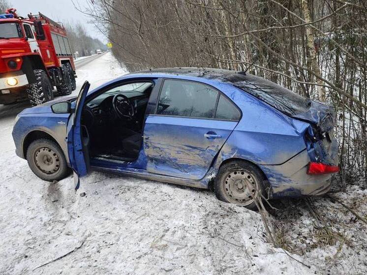 Ленинградские пожарные помогли 12 людям за сутки