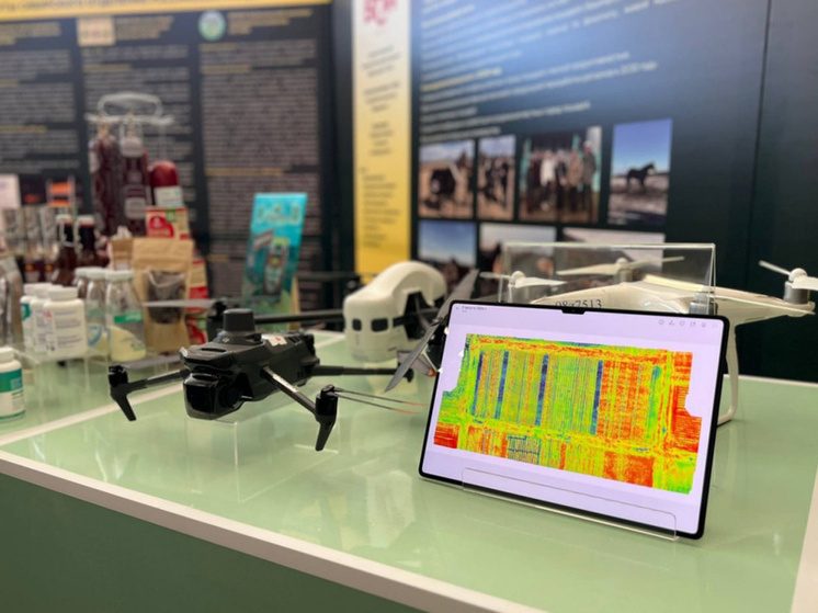 В Бурятии вуз представил итоги научных разработок за год