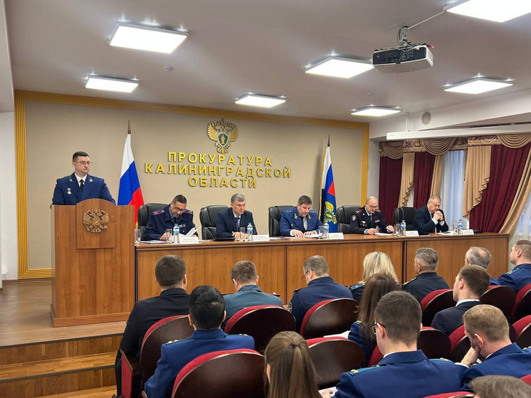 В прокуратуре разобрали криминальные итоги года по Зеленоградскому округу