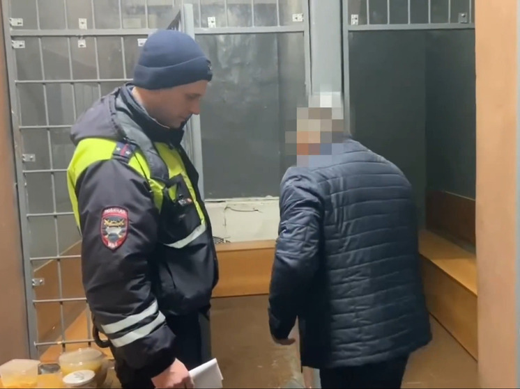 Инспекторы нашли водителя, сбившего пенсионерку и скрывшегося с места ДТП под Тверью