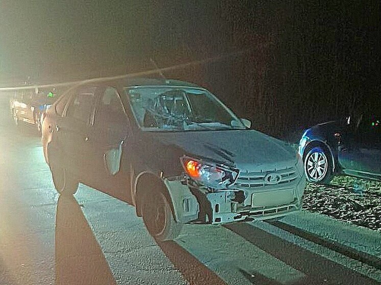 Шедший навстречу автомобилю пешеход погиб в Воронежской области