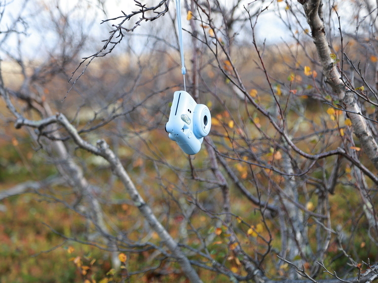 Ремесленников Мурманской области освободят от обязательной маркировки товаров