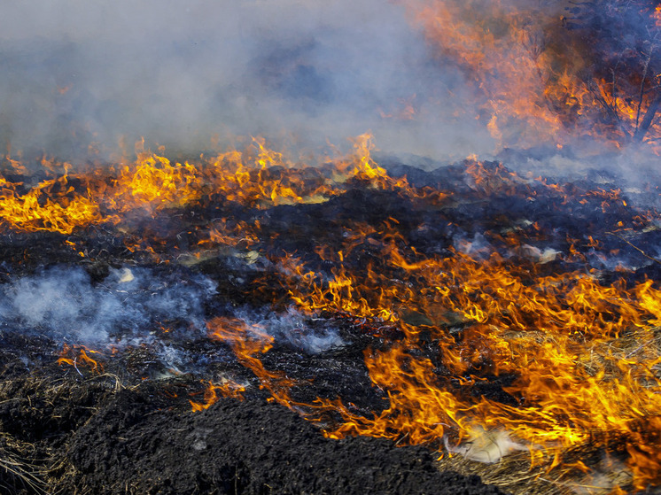 Маршрутка с людьми загорелась на пути из Магнитогорска в Челябинск