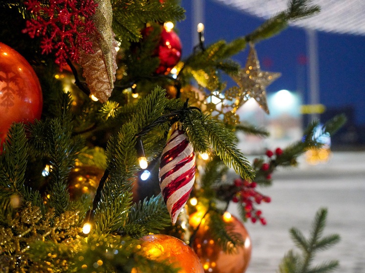 Травматолог предупредил туляков об опасностях новогодней суеты