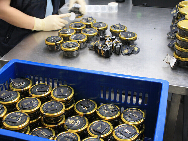 Вологодчина экспортировала в Индию и Монголию более 24 кг осетровой икры