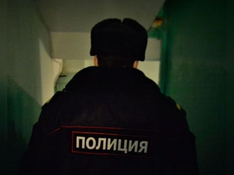 Задержан молодой человек, укравший новогодний шар с городской елки в Пензе