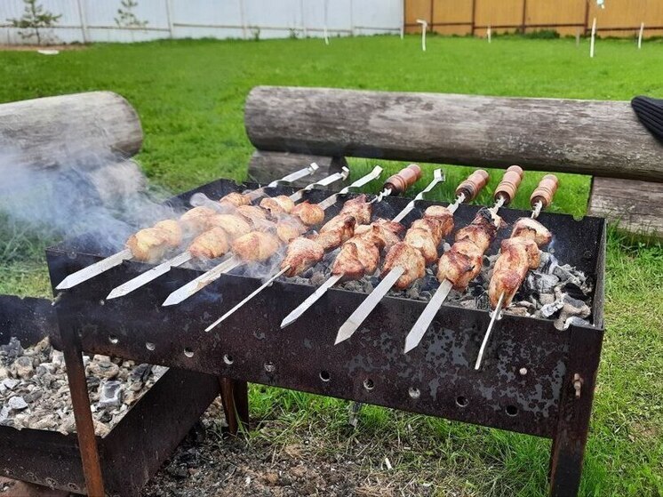 Шашлык как у профи: рецепты маринадов