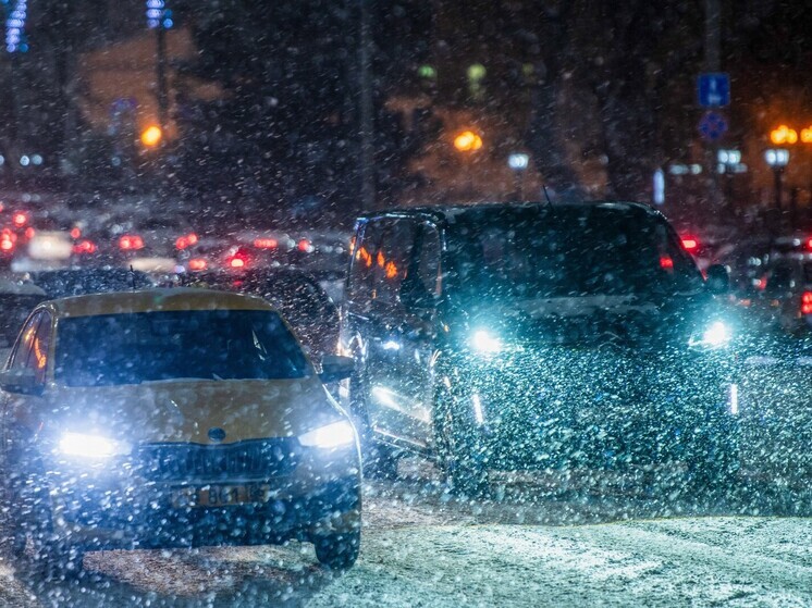 До четверти месячной нормы: в Москве и области в пятницу ожидается сильный снегопад