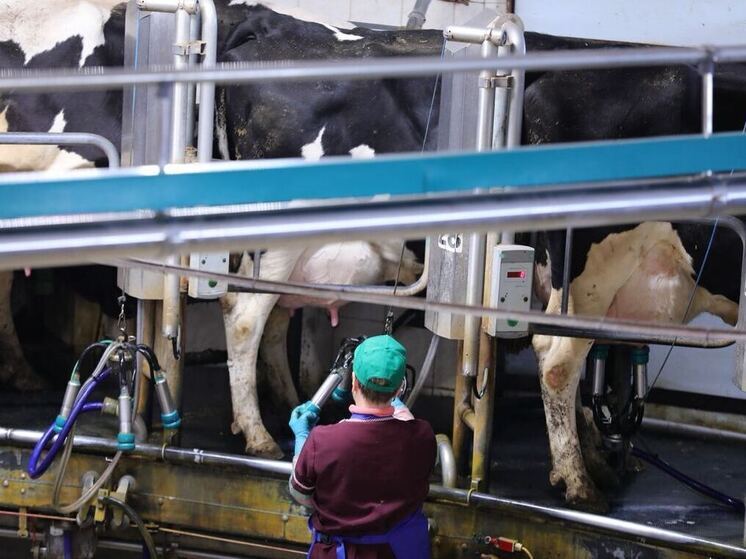 На кадровый резерв агропредприятий Челябинской области направят 39 млн рублей