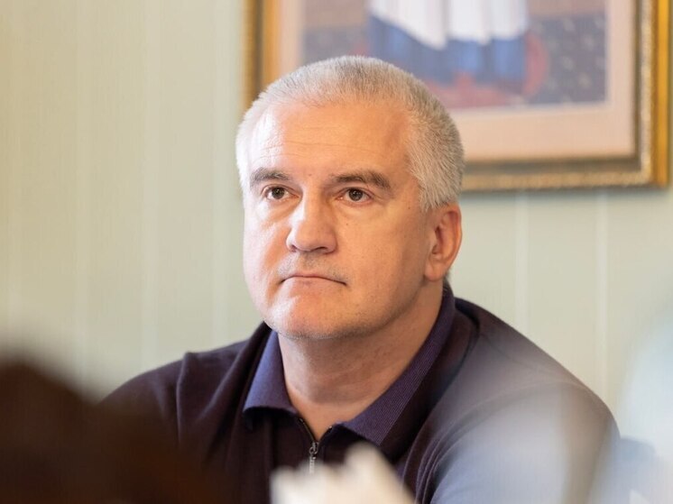 Аксёнов заявил о связи части мигрантов с иностранными спецслужбами