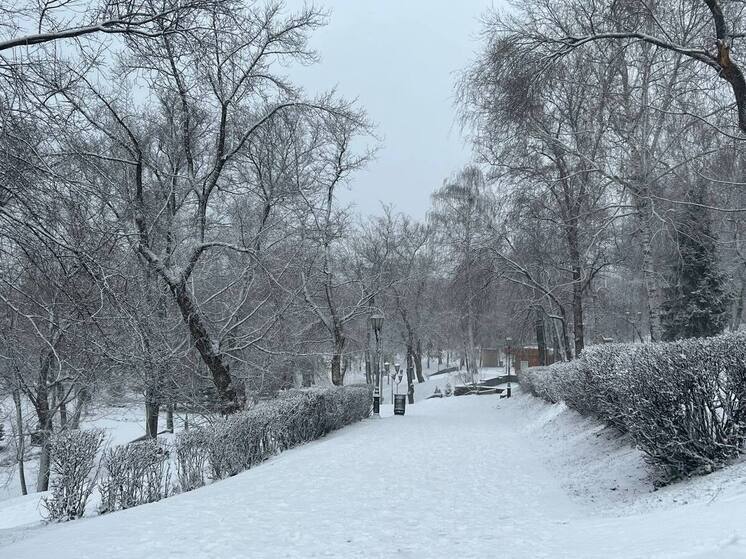 24 декабря в Самаре выпало сразу 44,6% месячной нормы снега