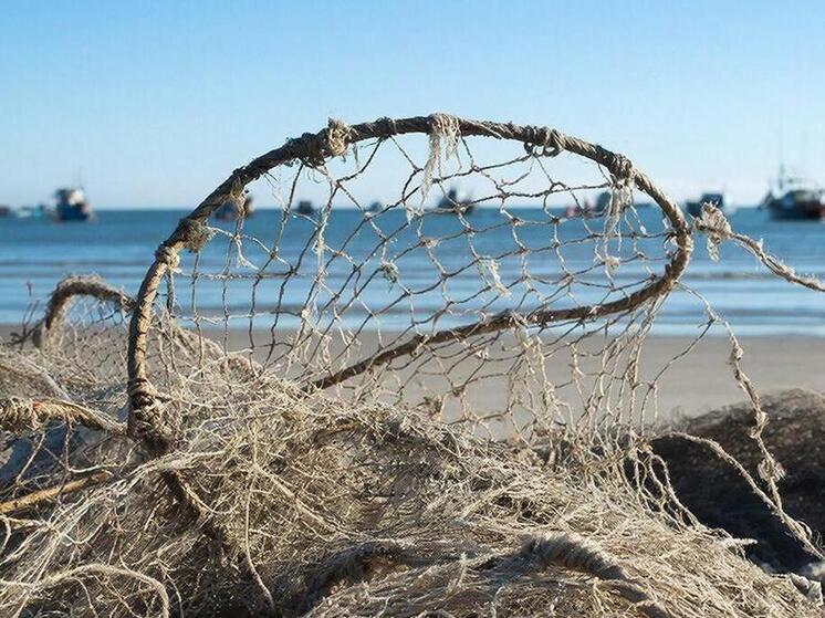 На Сахалине задержали браконьера, ловившего сетью кету на пути к нересту