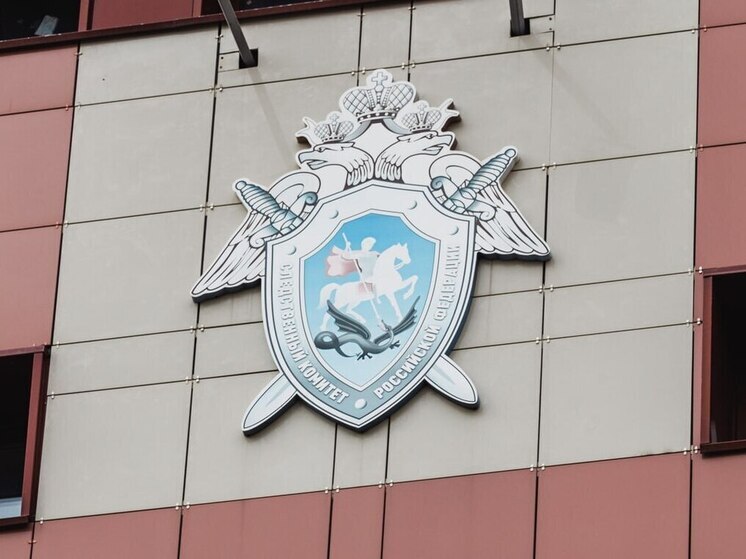 Женщина с Южного Урала обвиняется в убийстве двух секс-работниц