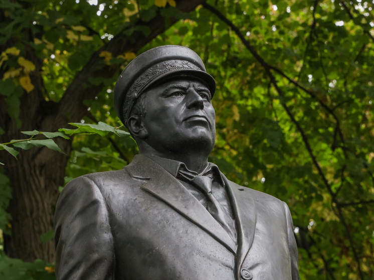 Поезд «Россия. Жириновский» на рельсах: пассажирам предложат меню из любимых блюд политика