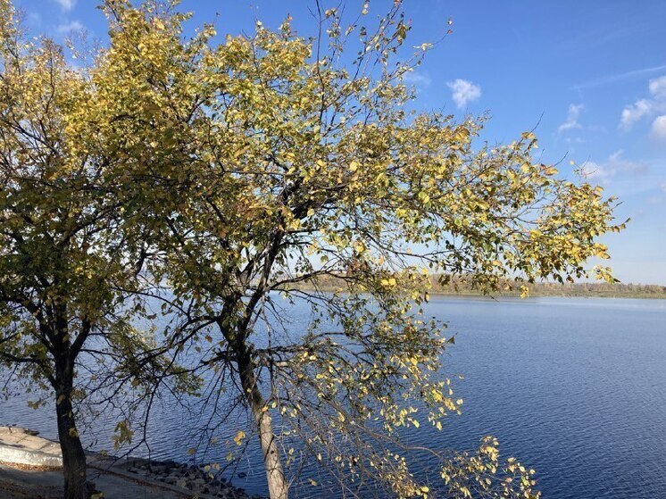 Экологическая ситуация на реке Хопер под Саратовом стала предметом федерального расследования