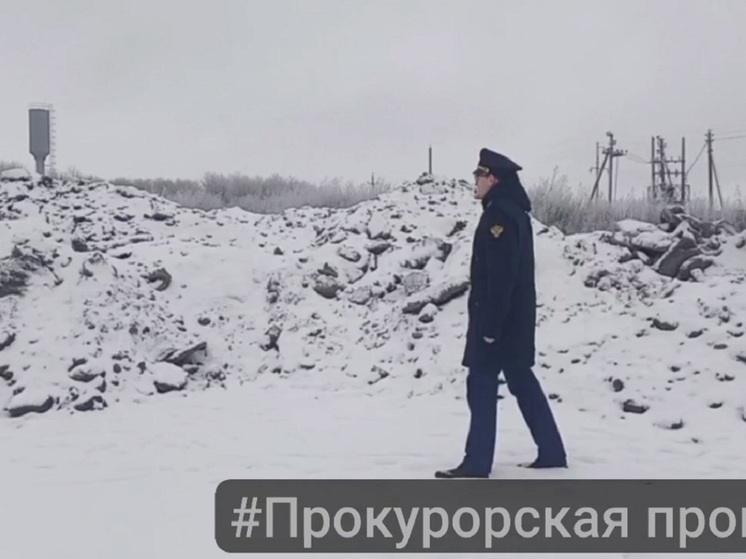 Глава Чернской администрации Кузнецов получил представление за стихийную свалку