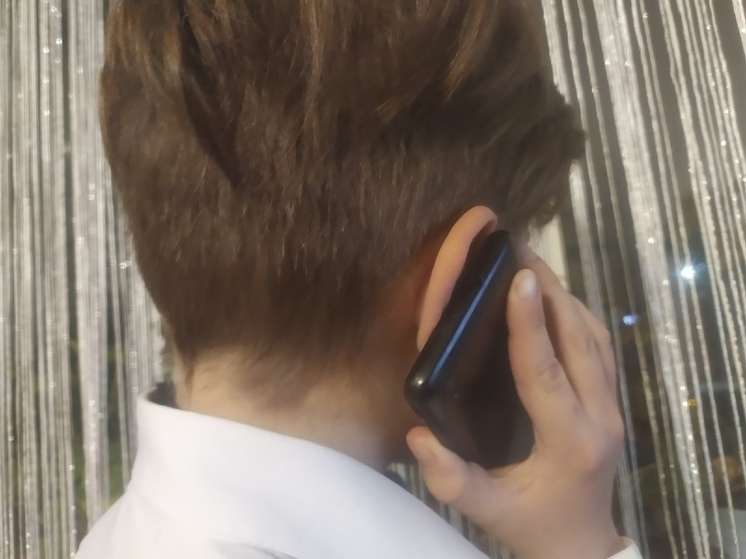 Юные вологжане могут позвонить Деду Морозу в Великий Устюг