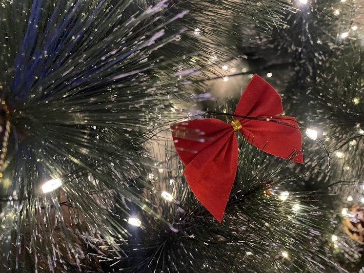 Аксёнов призвал к сдержанности на новогодних корпоративах в Крыму