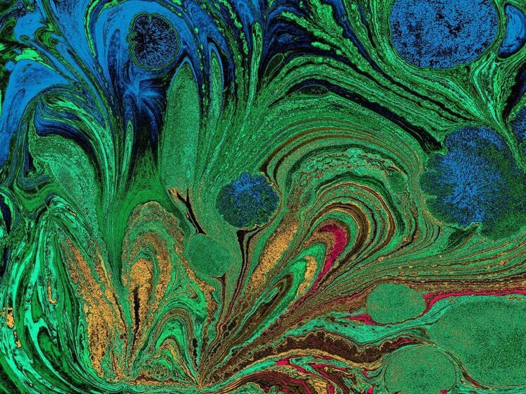 Мастер-класс по рисованию в технике Эбру пройдет в Вологде (6+)