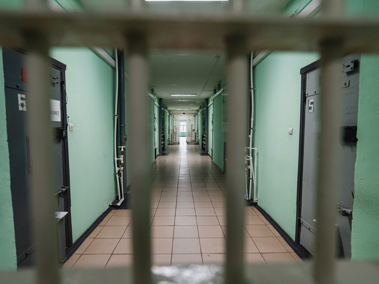 По делу о применении насилия против полицейских вынесен приговор жителю Тверской области