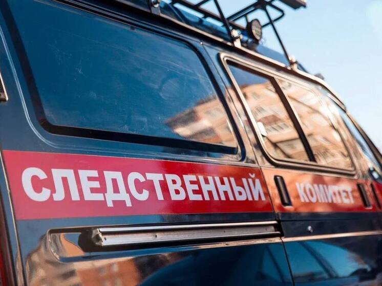 Бастрыкин поручил возбудить дело о мусорном полигоне на кладбище участников ВОВ во Владивостоке