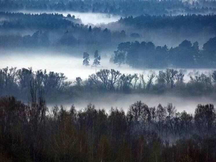 Завораживающий вид на Приокско-Террасный заповедник показали серпуховичам