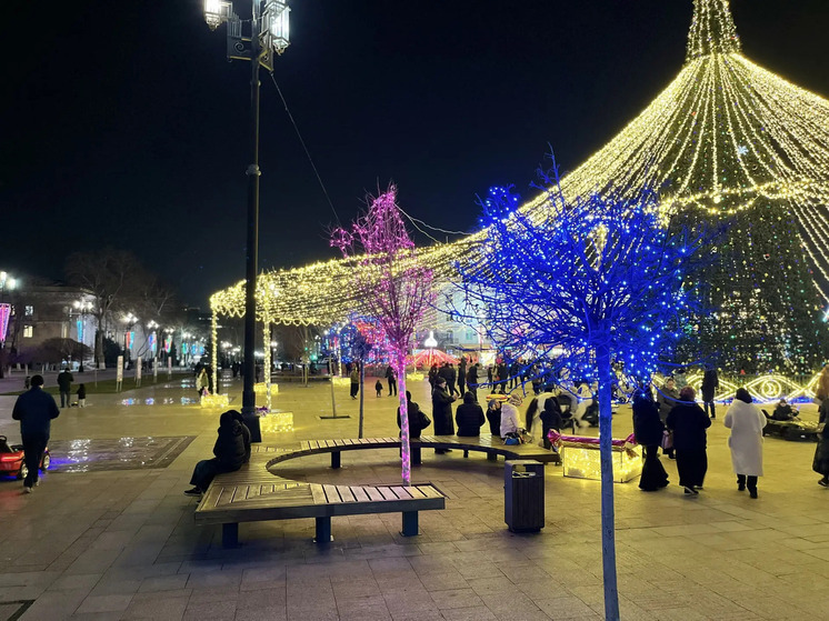 В Махачкале сегодня откроют главную новогоднюю елку