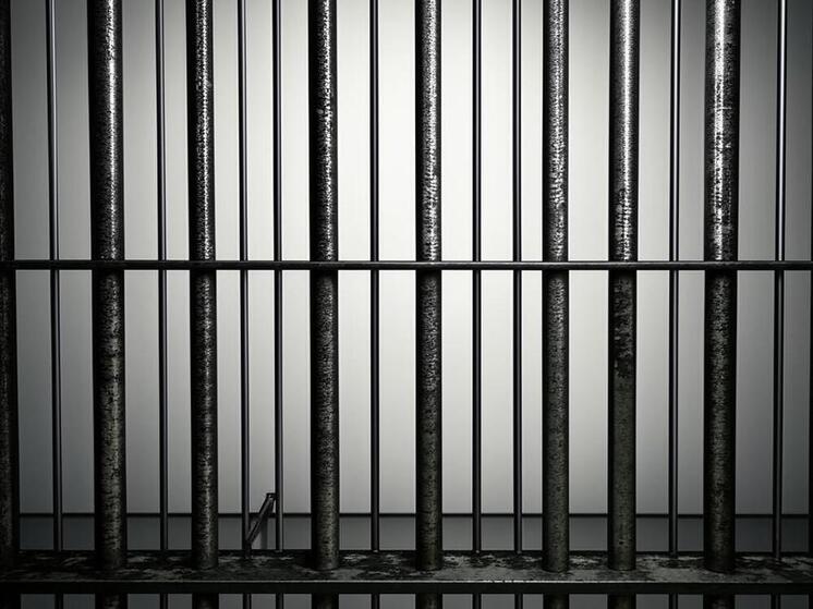 За хранение 21 кг наркотика дагестанца приговорили к 3 годам колонии