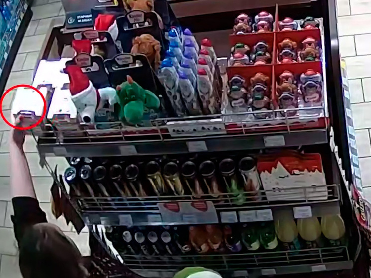 Ростовчанка попала под дело за кражу игрушек и сладостей в Липецкой области