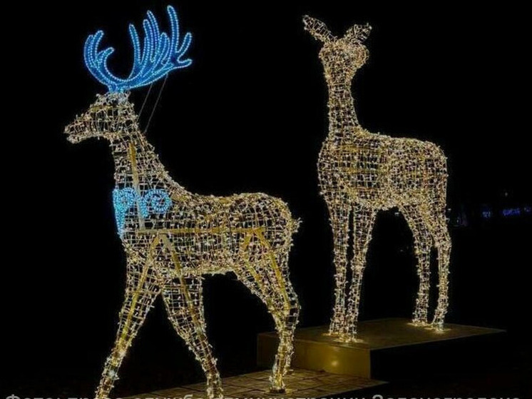 В парке Зеленоградска «поселились» гигантские световые олени