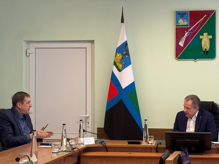 Гладков раскритиковал работу Старооскольского округа по содержанию дорог