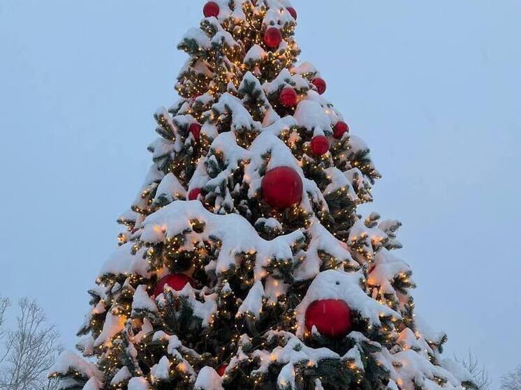 На Сахалине 26 декабря ожидается мороз до -30°, а на Курилах — ветер и дождь