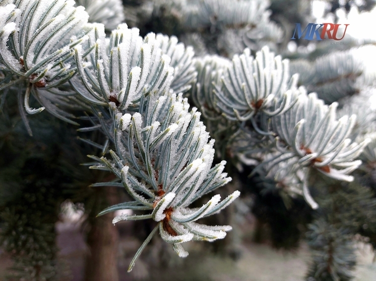 «Калужские засеки» приглашают на день открытых дверей